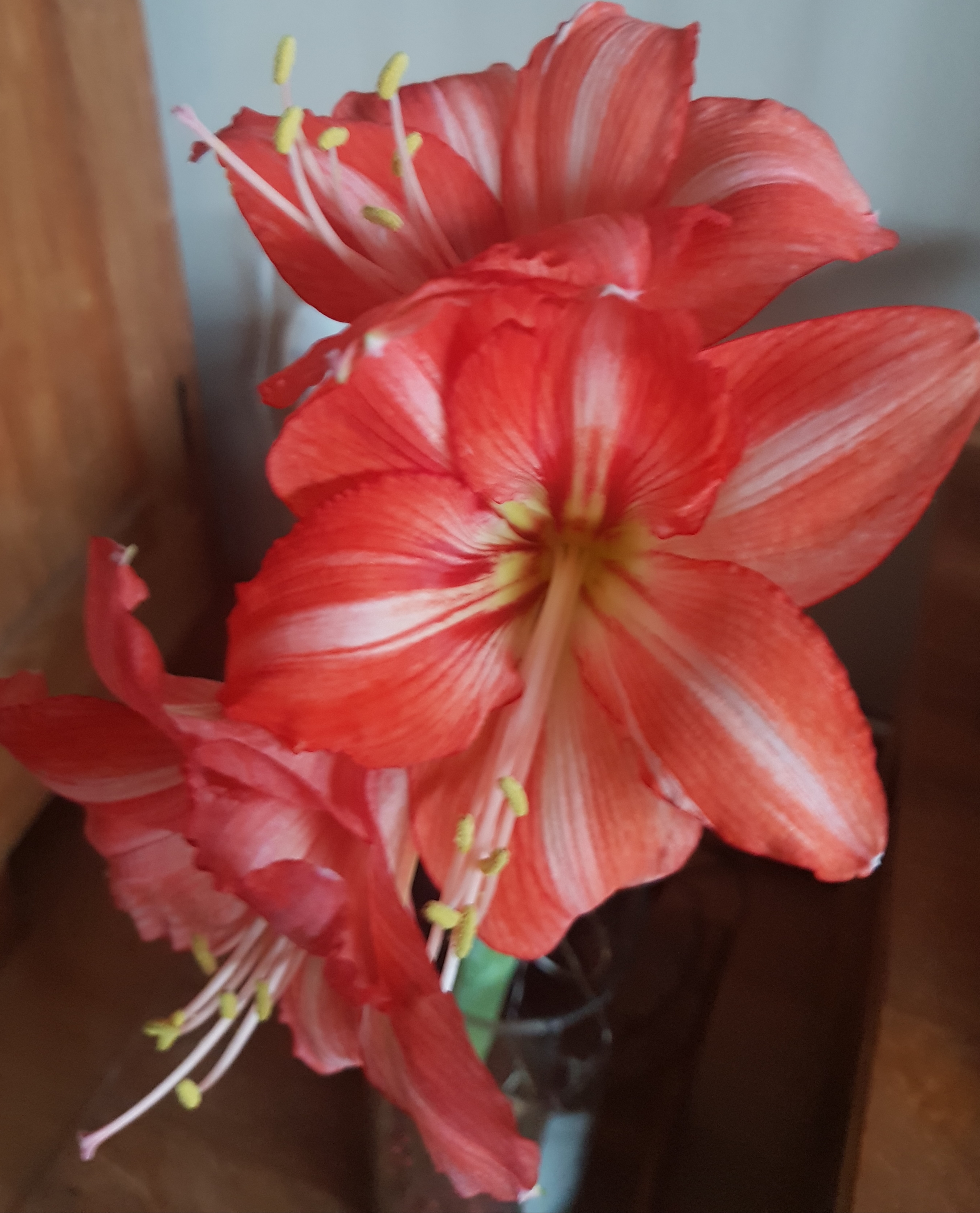 blog-foto