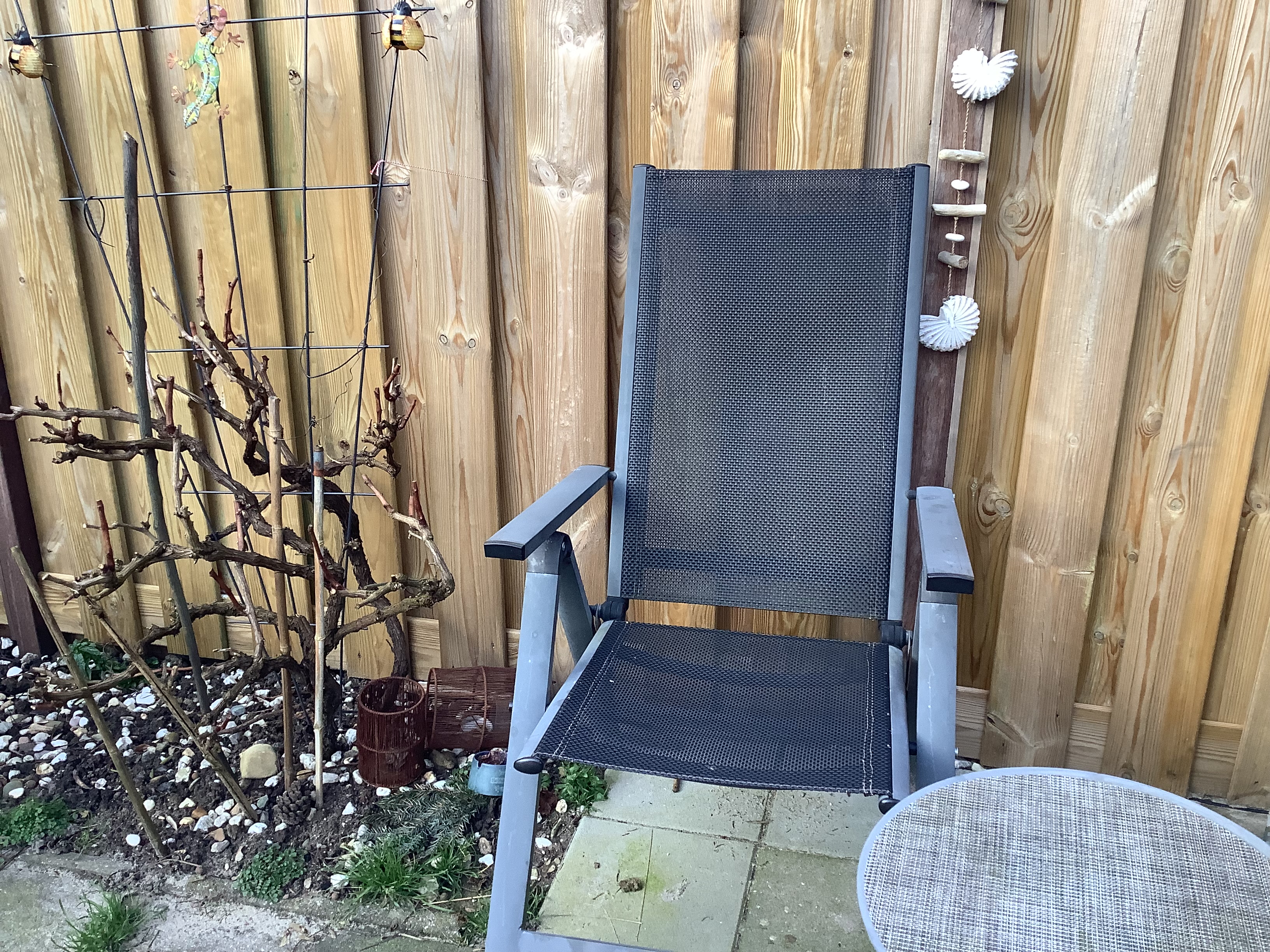 blog-foto