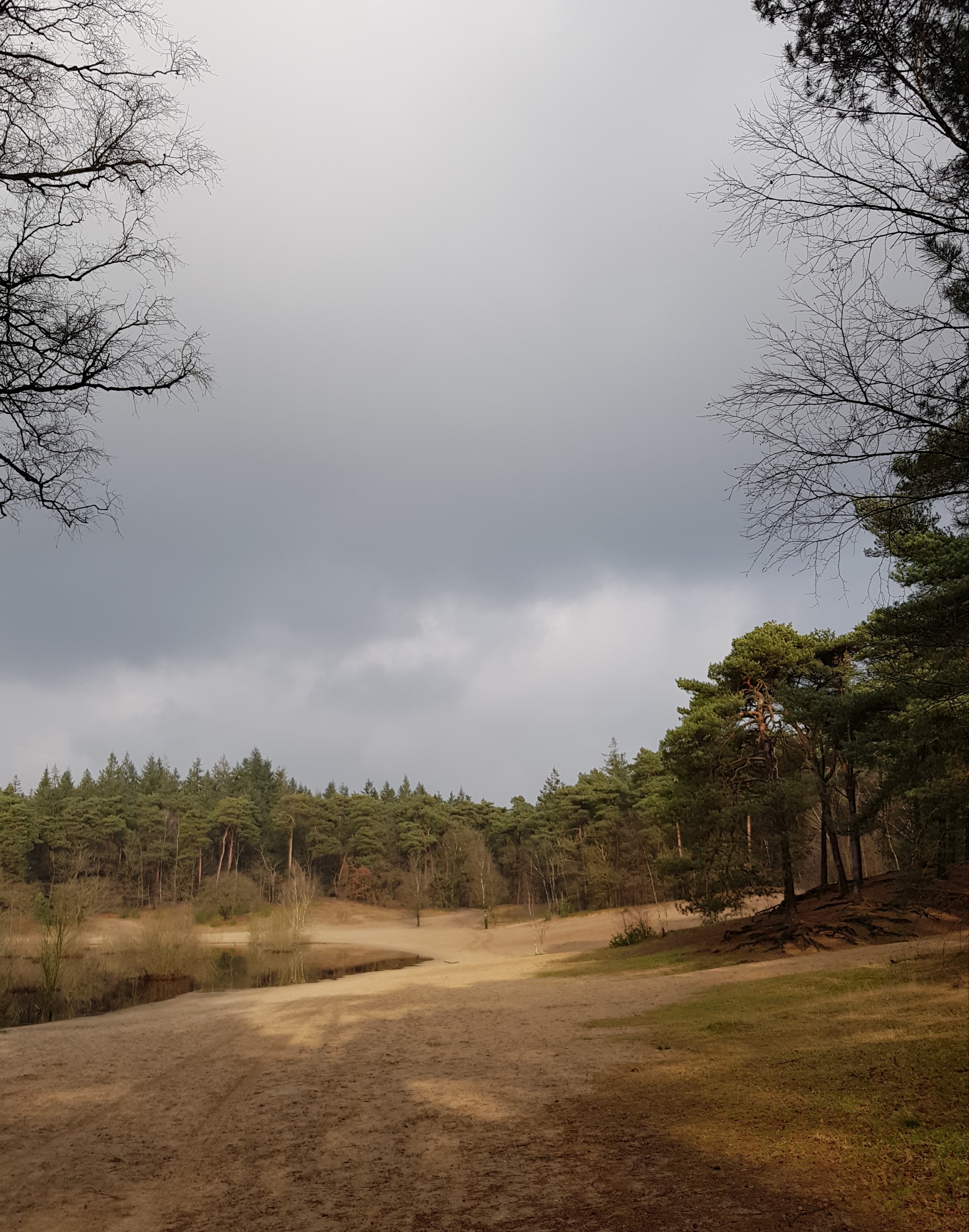 blog-foto