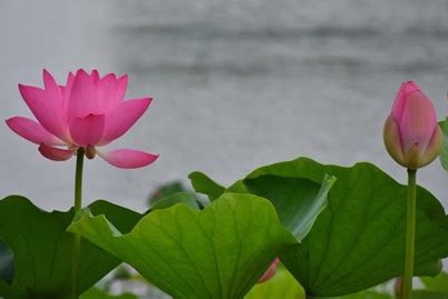 blog-foto